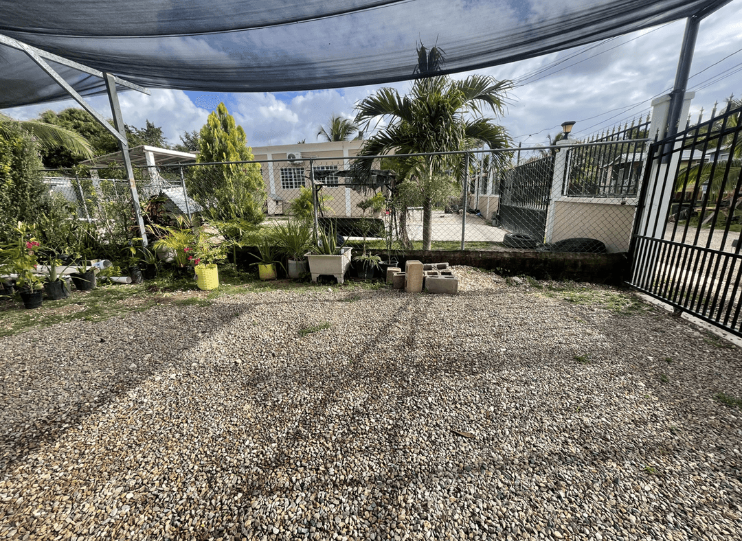 A garden area with various potted plants and gravel ground.
