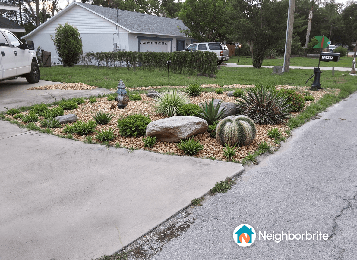 A landscaped yard featuring various plants and cactuses.