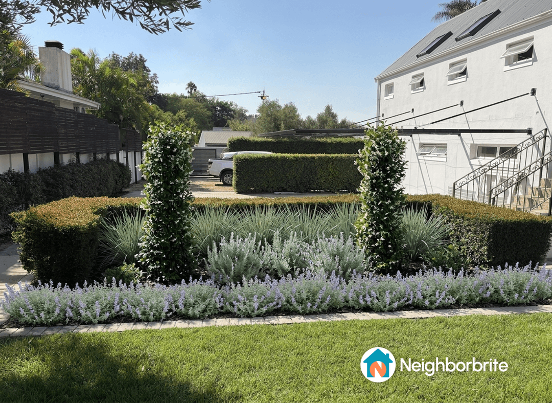 A beautifully designed yard featuring various plants and textures.