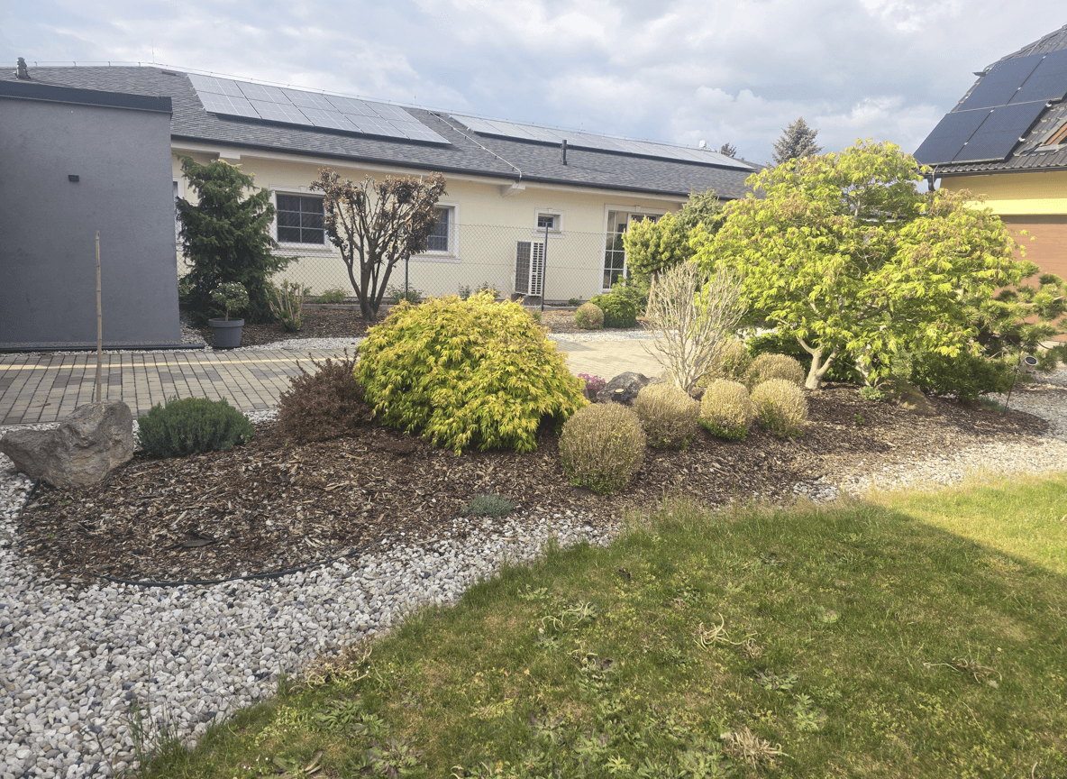 A landscaped yard with various plants and a pathway.