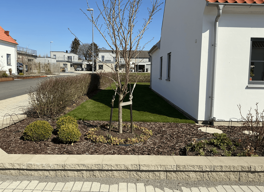 A yard with a newly planted tree and landscaped area, looking for design suggestions.
