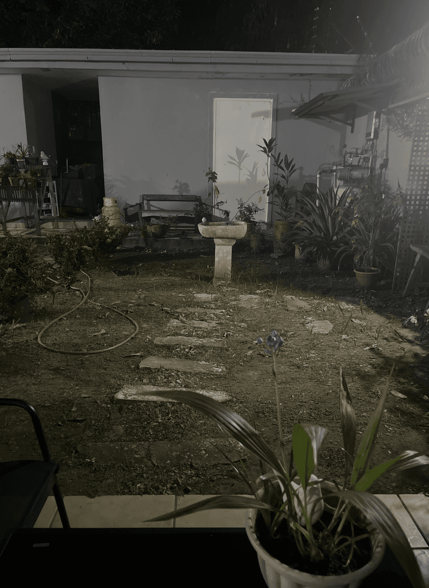 A dimly lit backyard with a stone path, plants, and a birdbath.
