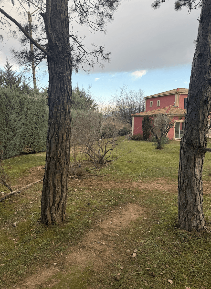 View of a garden area with trees and a house, suggesting a walkway design.