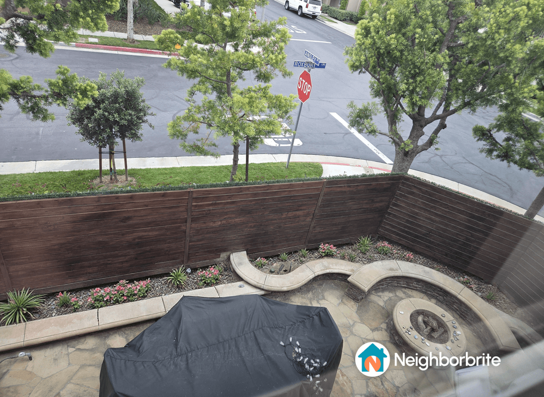 View of a landscaped yard with plants suitable for partial shade.