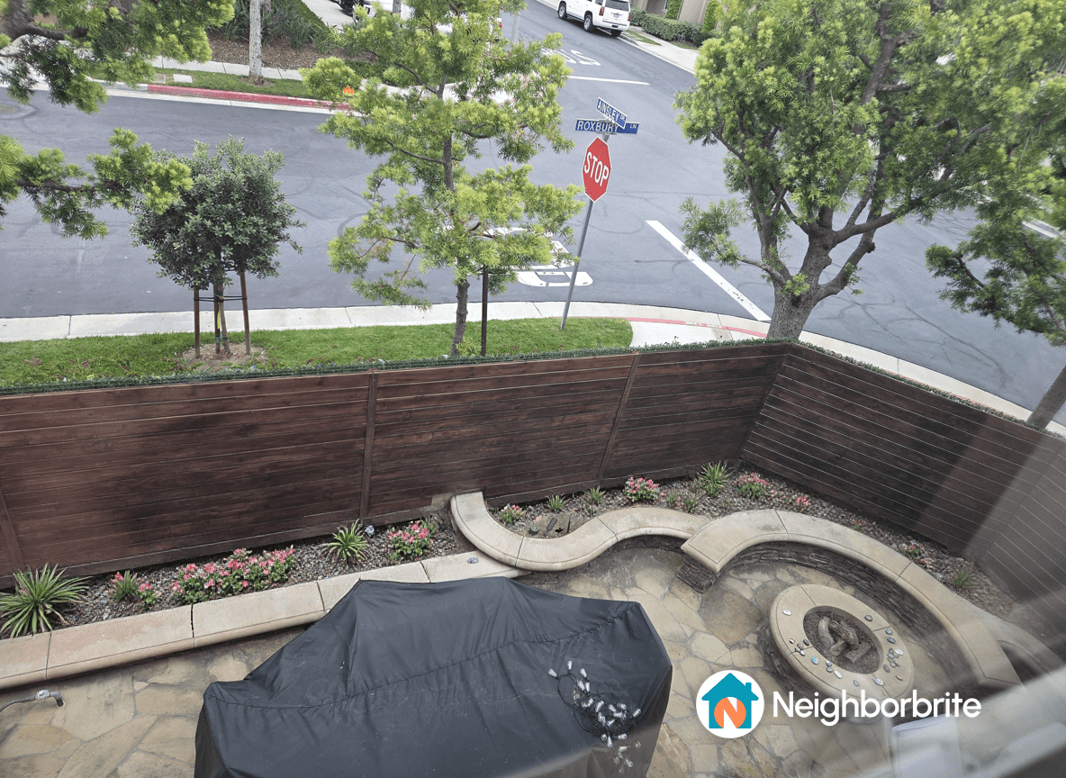 View of a landscaped yard with plants suitable for partial shade.