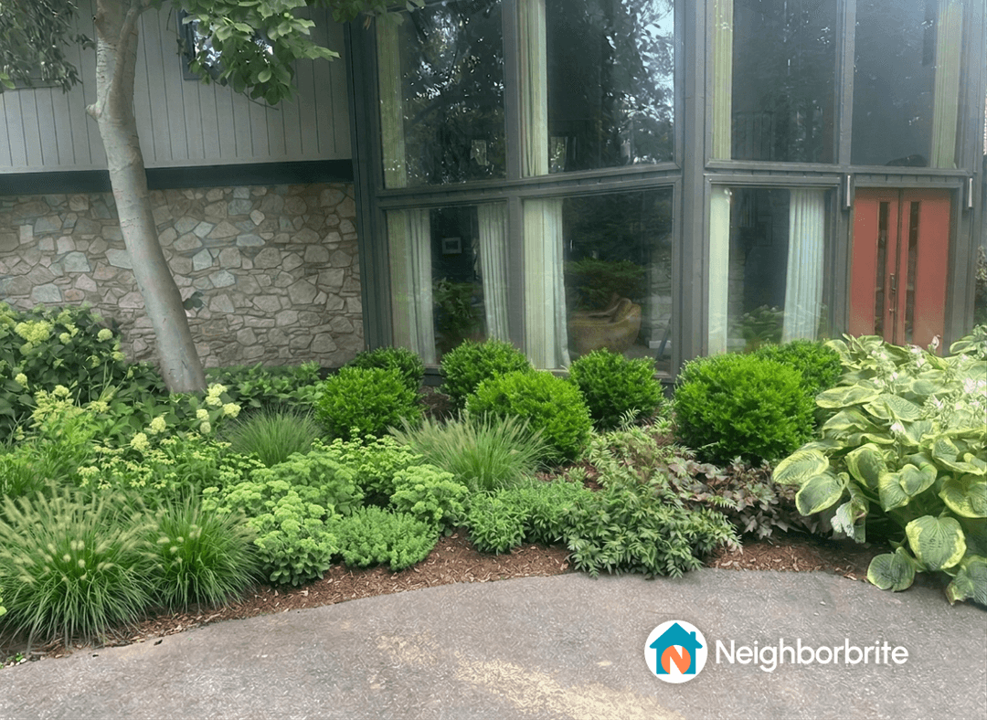 Lush garden area with various plants and a stone wall backdrop.