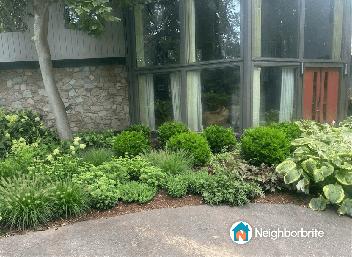Lush garden area with various plants and a stone wall backdrop.