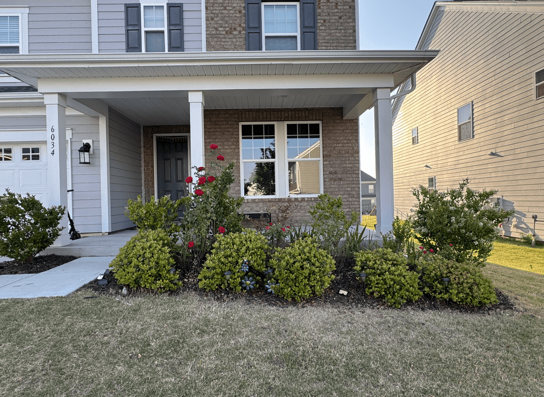 Front porch with plants and landscaping, seeking decor ideas.