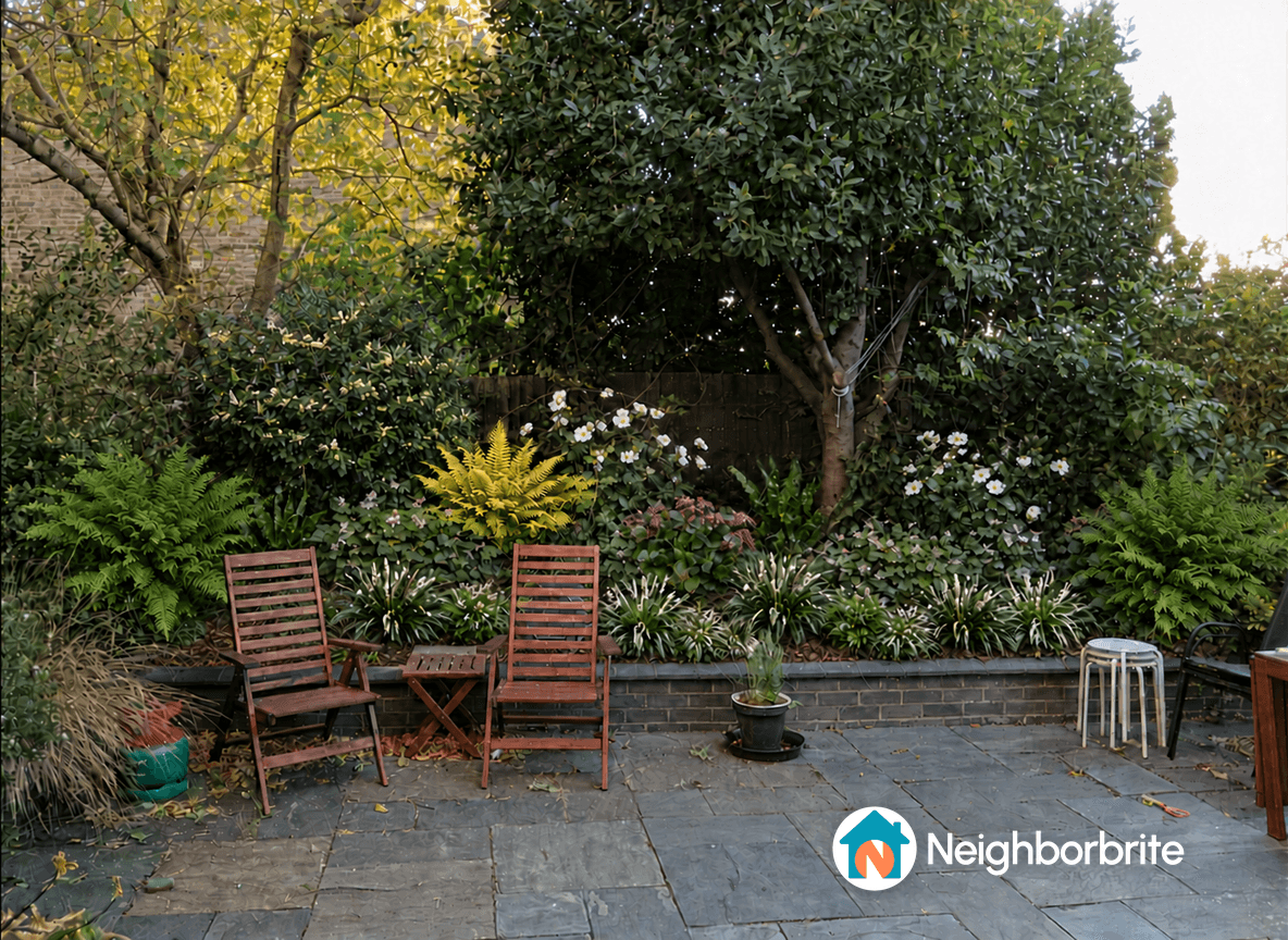 A garden bed with ferns and flowers in dry shade under a bay tree.