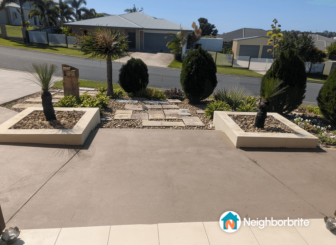 A front yard with conifers and paving stones, seeking low-growing native plants.