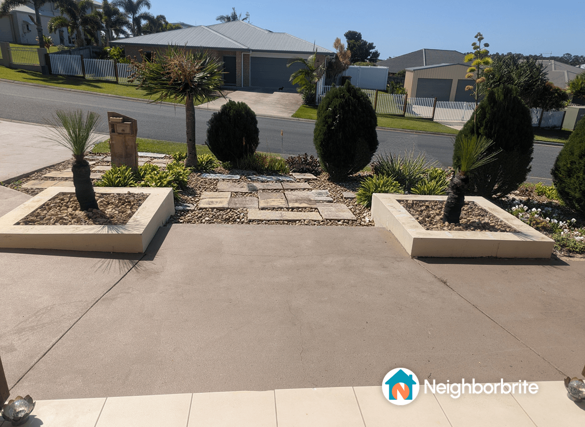 A front yard with conifers and paving stones, seeking low-growing native plants.