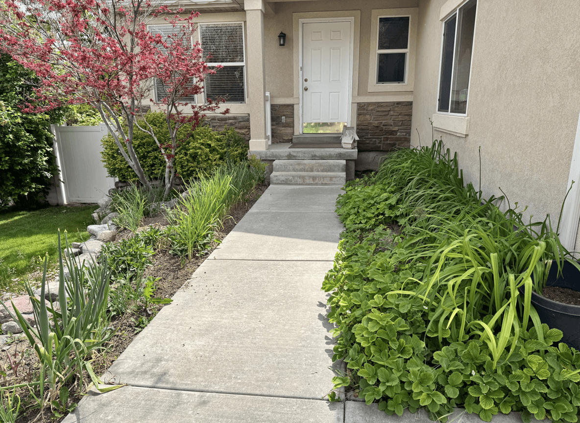 A front yard with green plants and a pathway, seeking flower bed ideas.