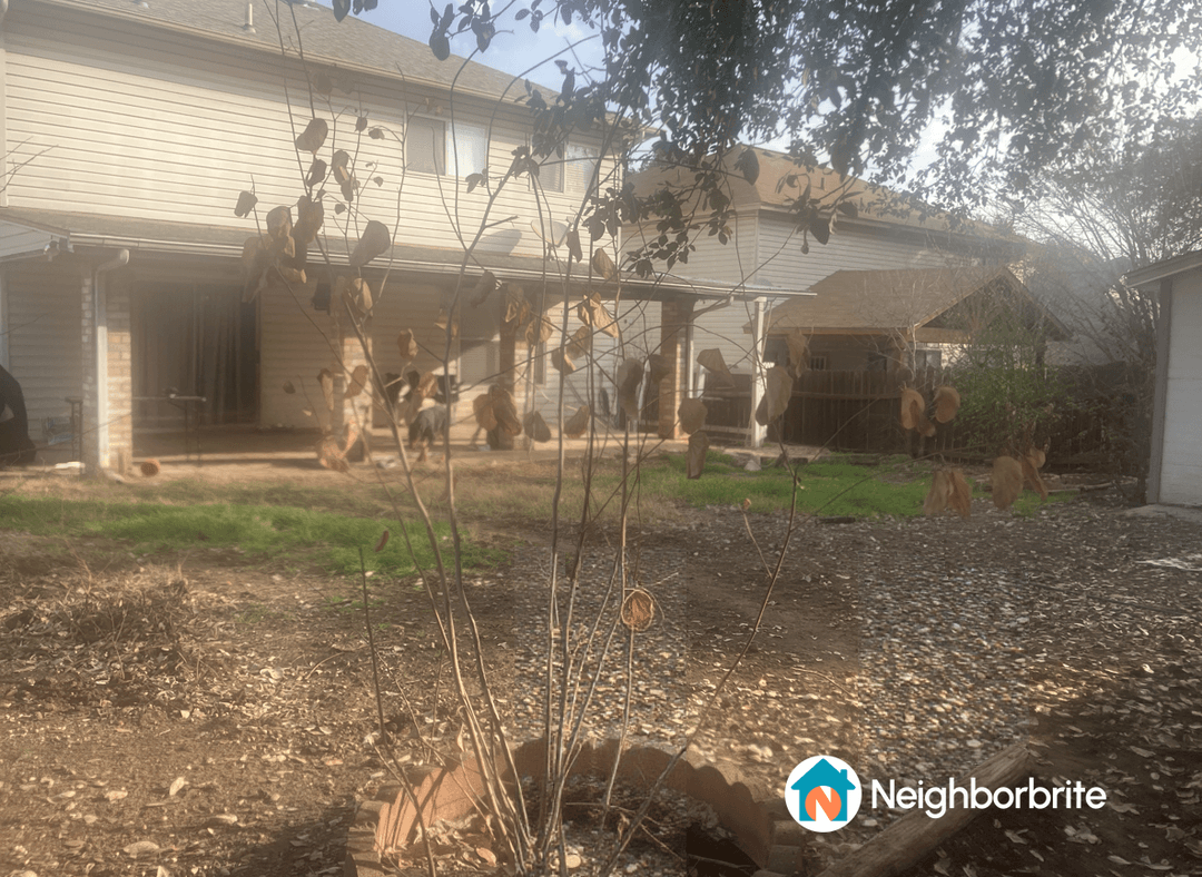 A backyard with dry grass and a few plants, seeking remodeling advice.