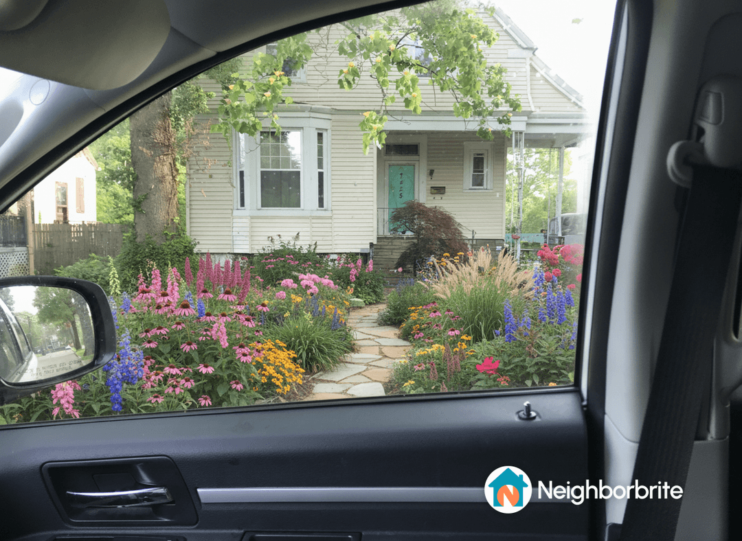 Colorful flowers and plants in a well-maintained garden