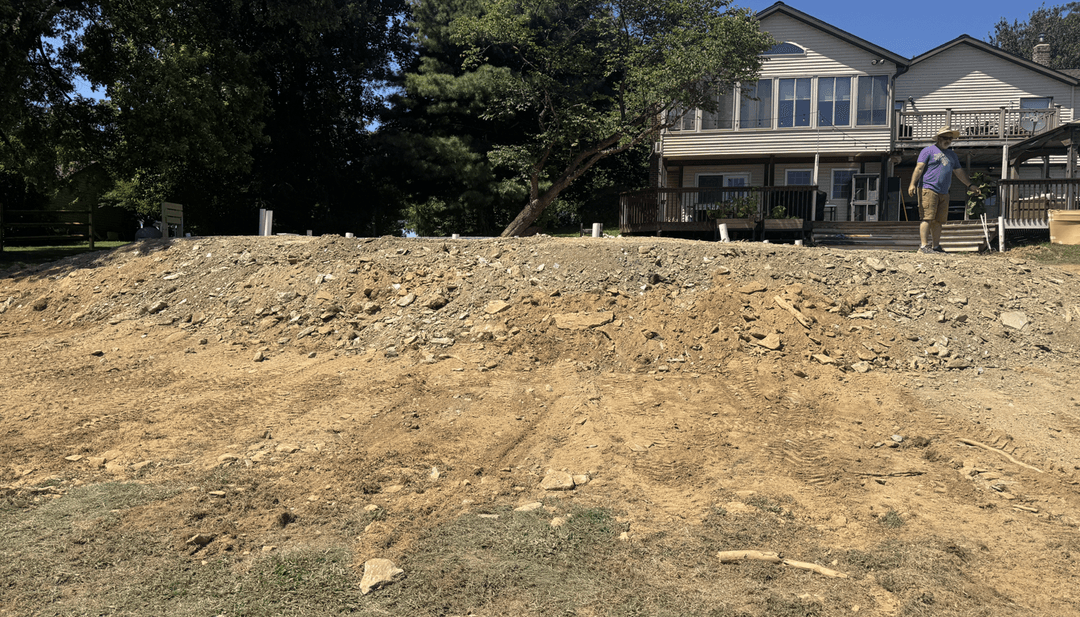 A sloped area with rocks and dirt, looking for plant suggestions.