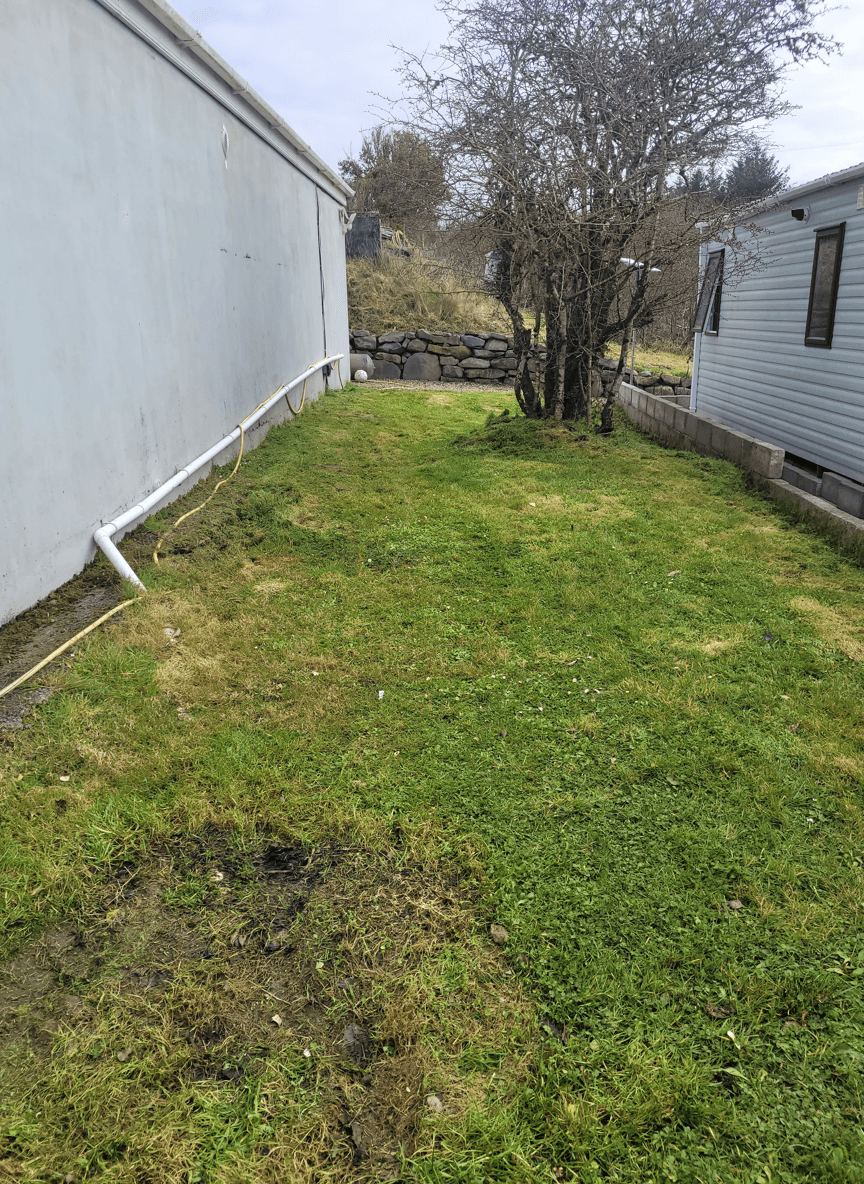A grassy area between two buildings, with a tree and a stone wall in the background.