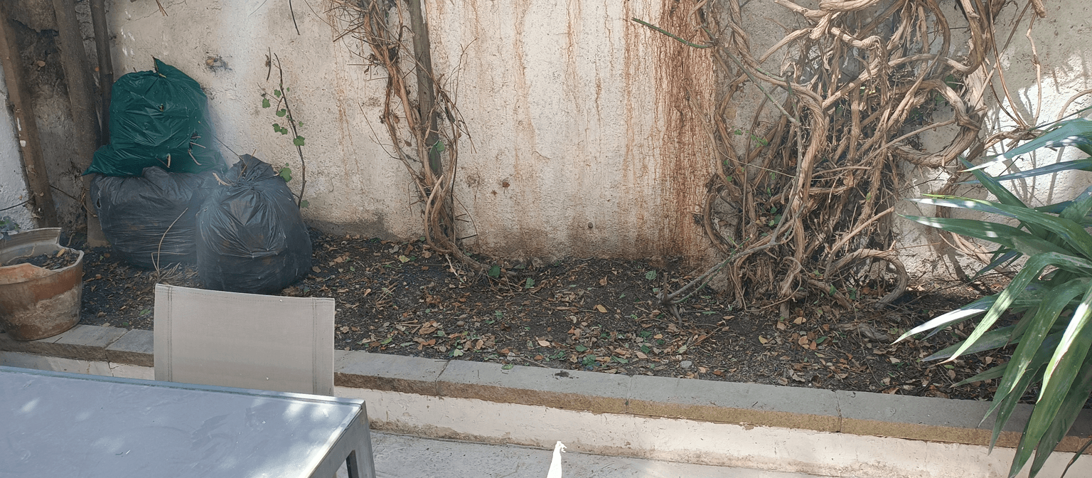 A garden area with bags of leaves and a wall, seeking plant ideas.