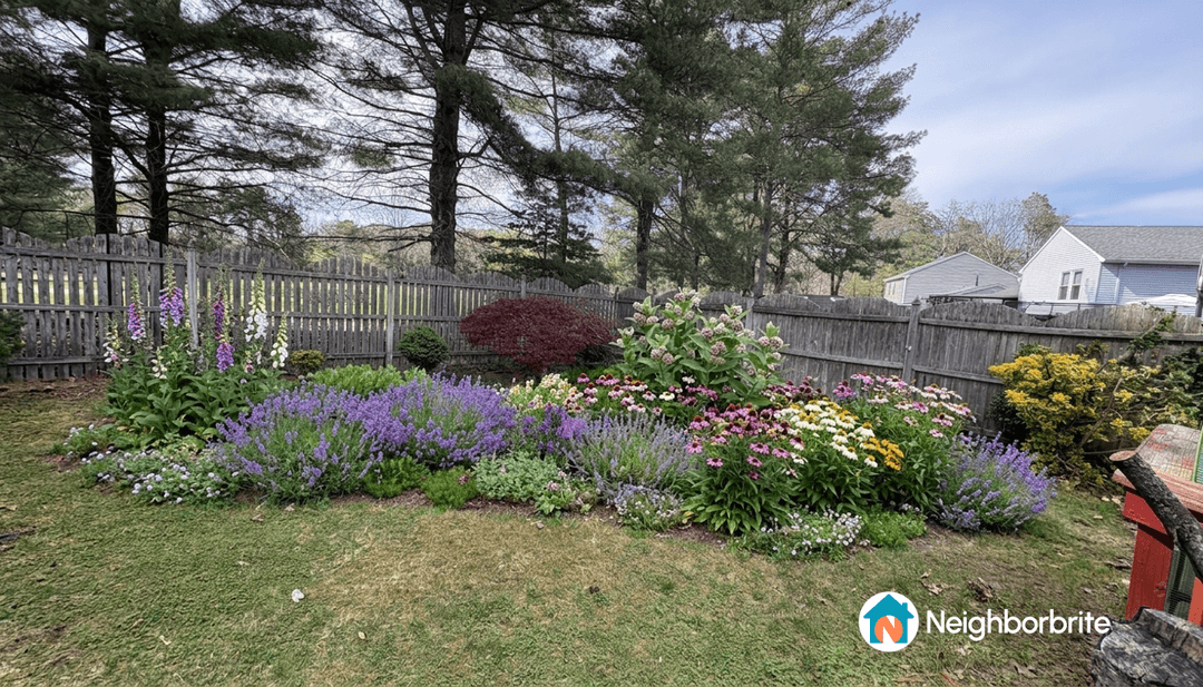 A vibrant pollinator garden with various flowers and plants.