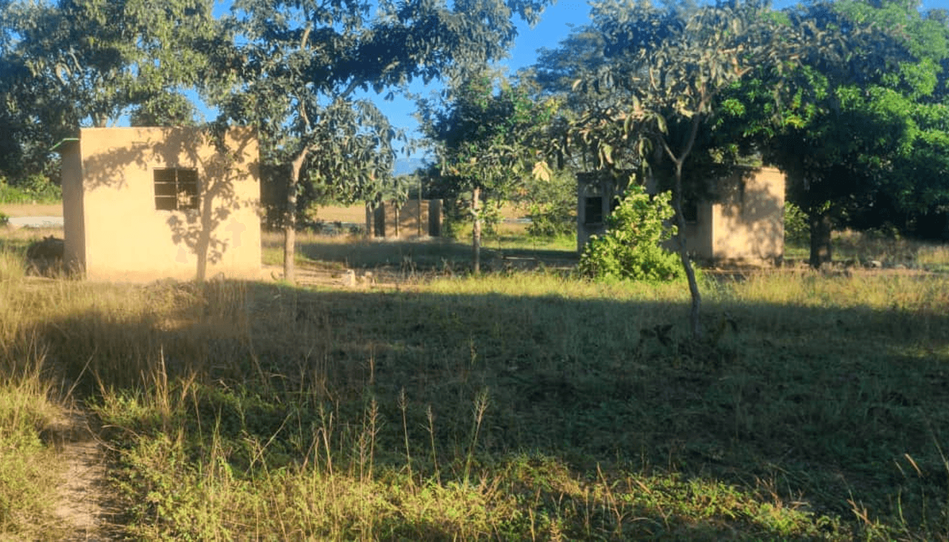 A rural landscape with small structures and trees, seeking design ideas.