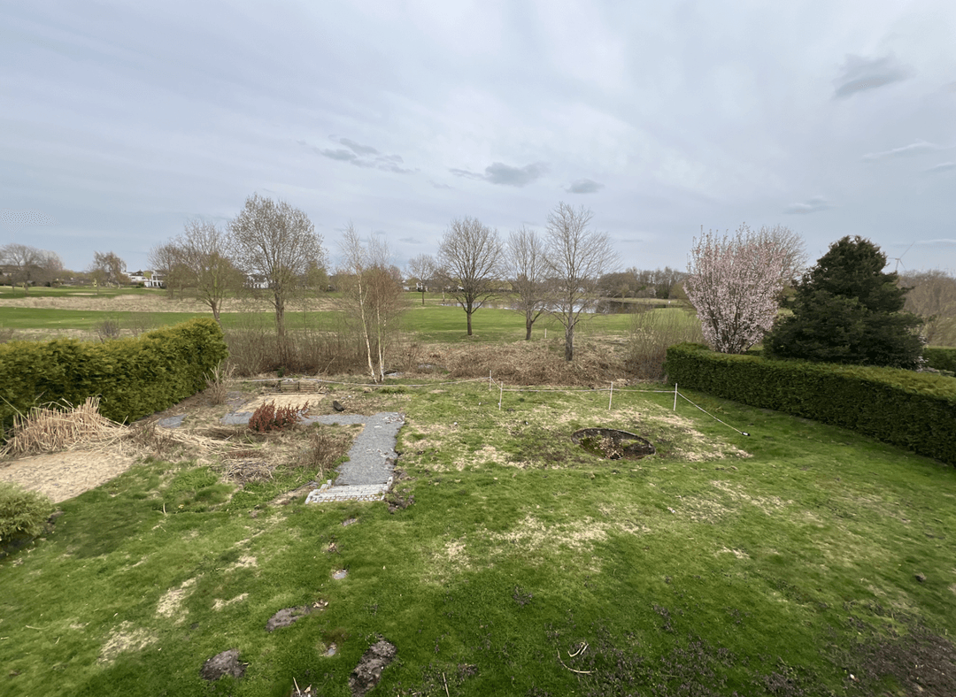 View of a yard with space for a pool and landscaping elements.