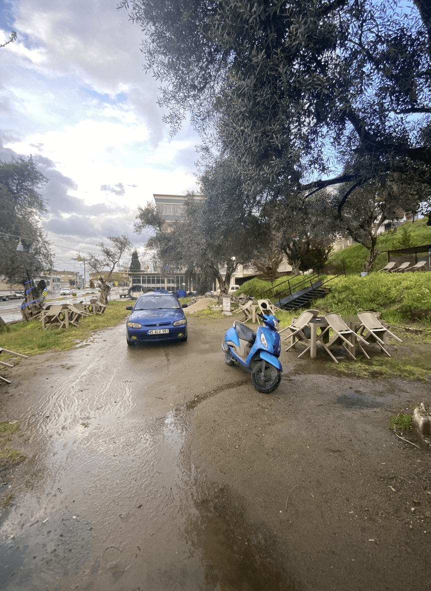 A view of a space with olive trees, a blue car, and outdoor seating.