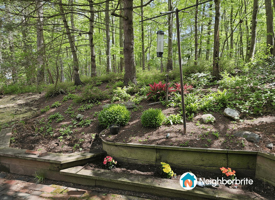 A landscaped area with plants and a bird feeder in a wooded setting.