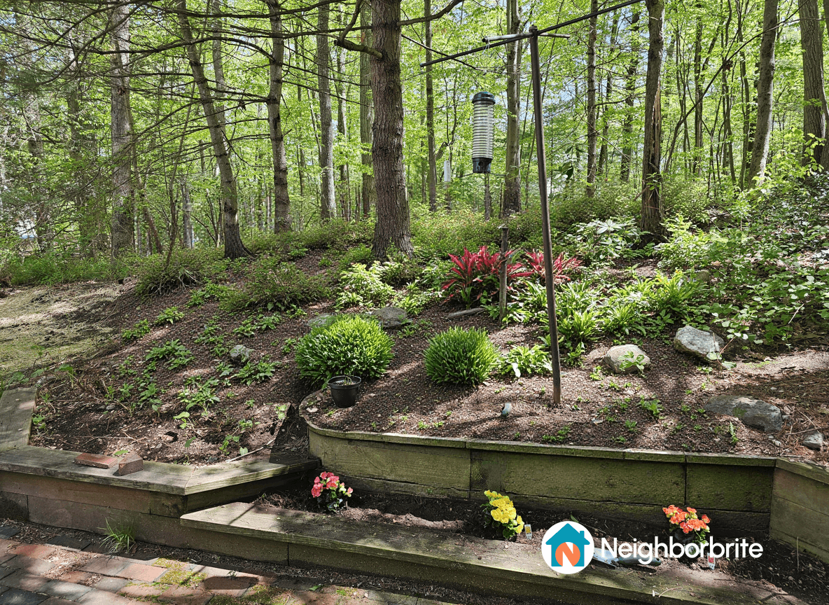 A landscaped area with plants and a bird feeder in a wooded setting.