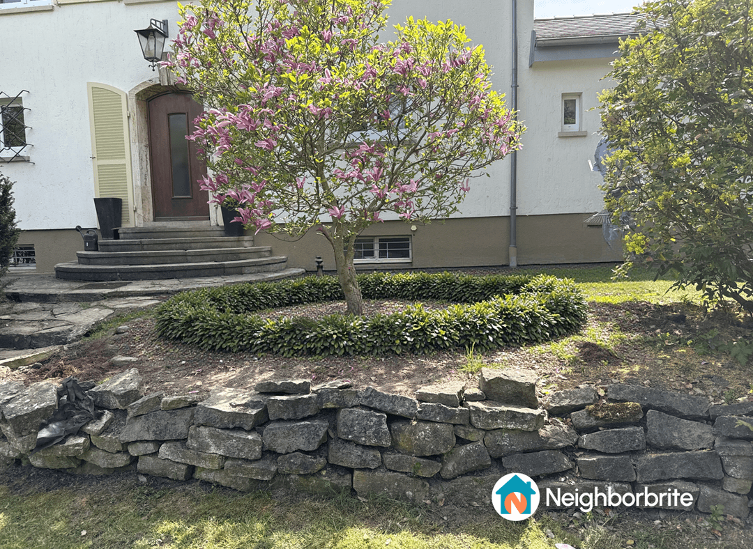 A garden featuring a blooming tree and stone wall landscaping.