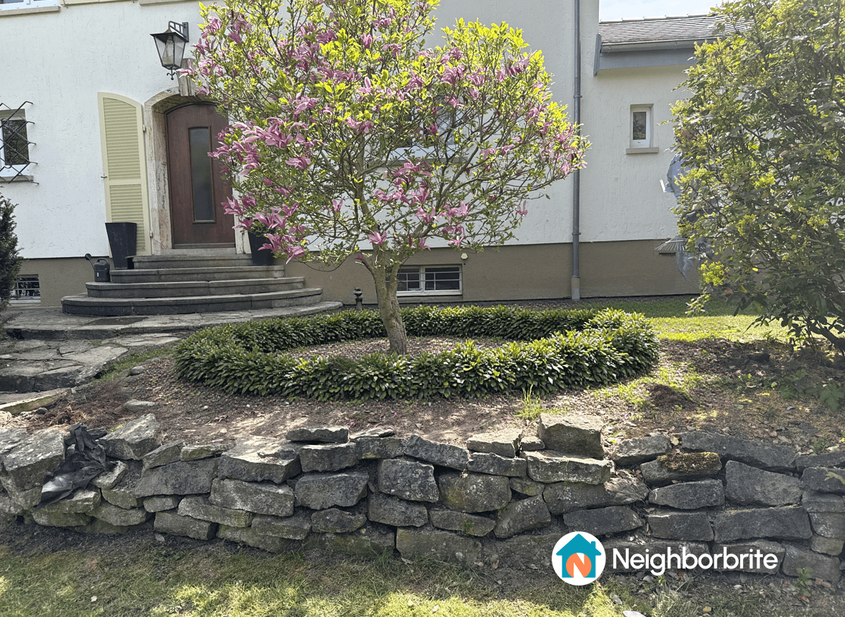 A garden featuring a blooming tree and stone wall landscaping.