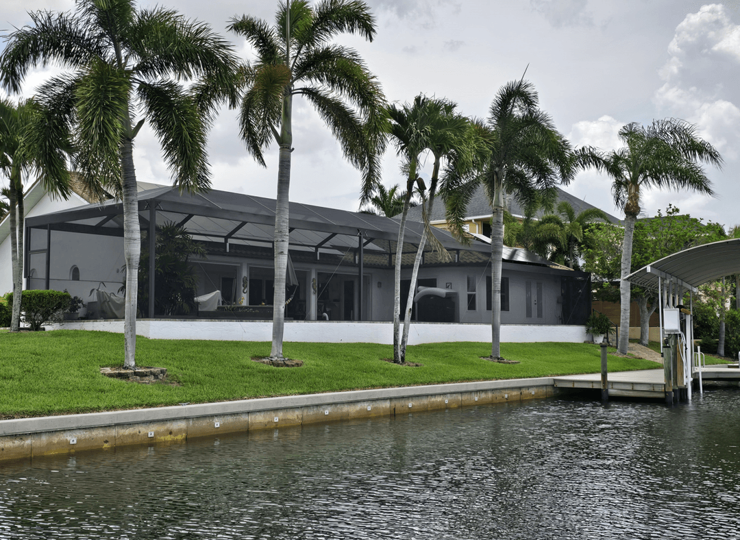 Tall palm trees shading a pool area, seeking replacements.