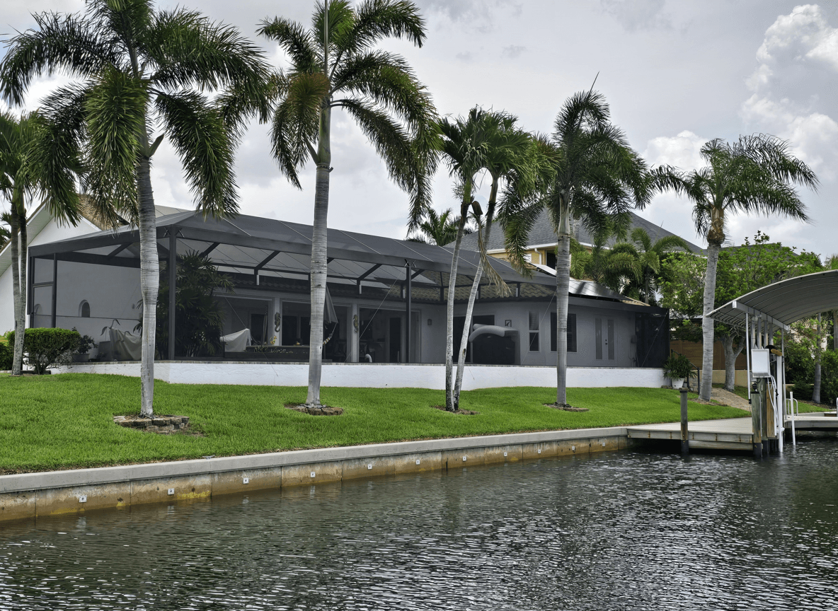Tall palm trees shading a pool area, seeking replacements.