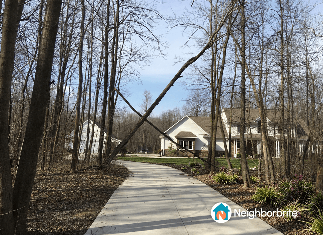 A view of a driveway with fallen trees and surrounding homes.