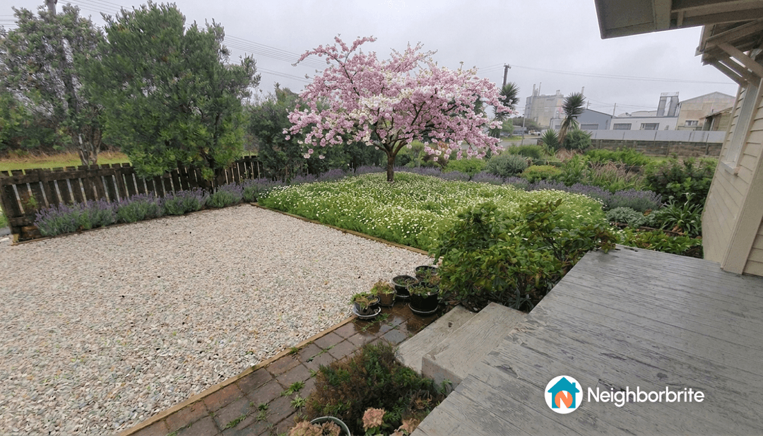 A garden featuring a chamomile lawn, flowering trees, and various plants.