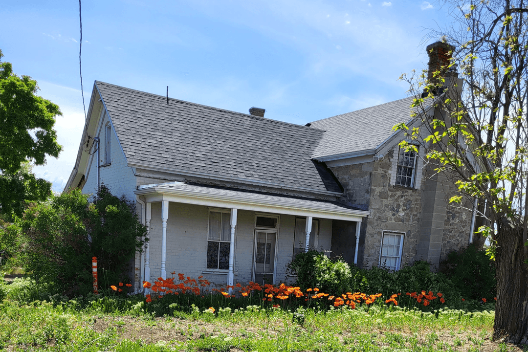 Historic 1856 salt box house with orange flowers in front.
