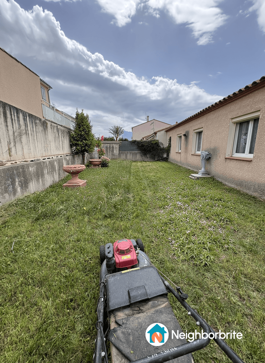 Un jardin avec une tondeuse, des pots de fleurs et un mur en arrière-plan.