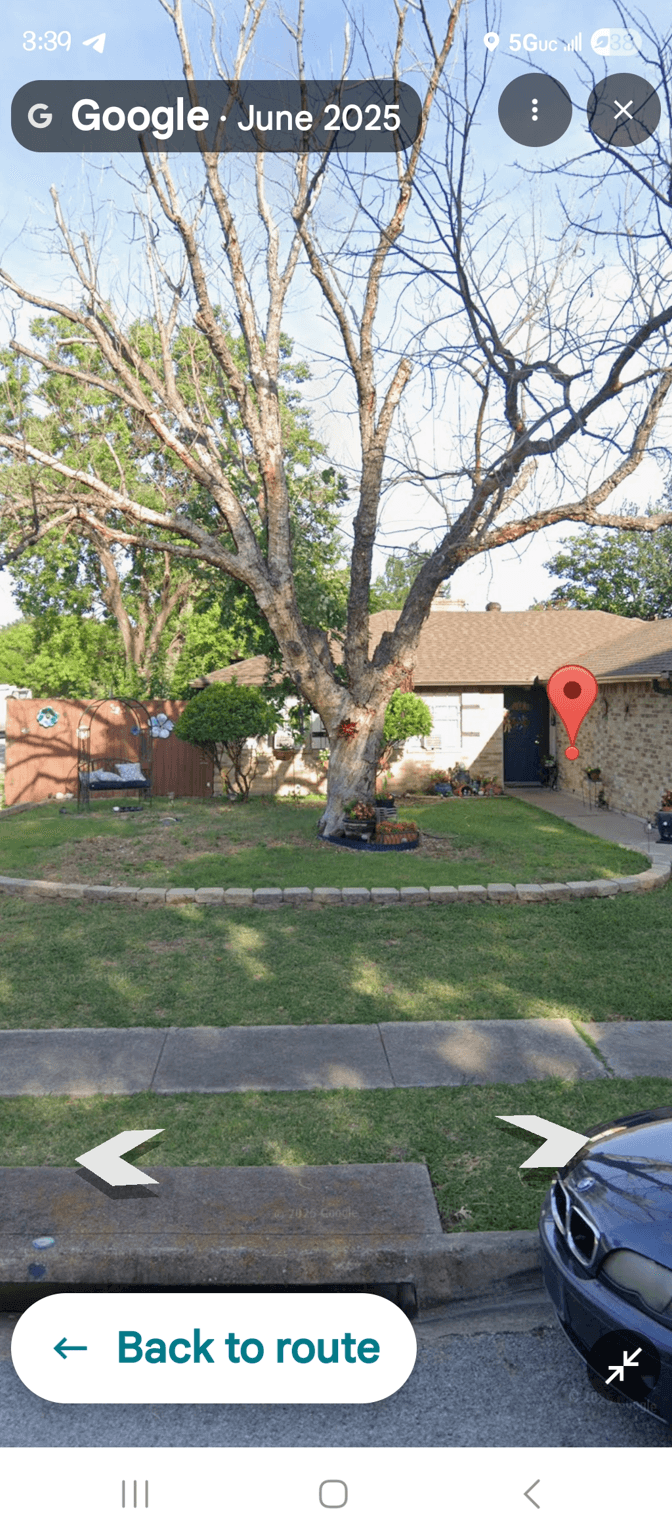 Front yard with a removed tree stump and landscaping options.