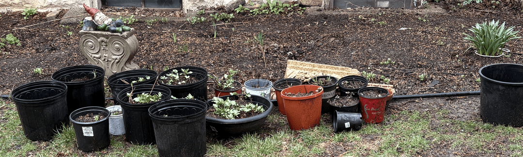 A garden area with various pots and a decorative gnome.