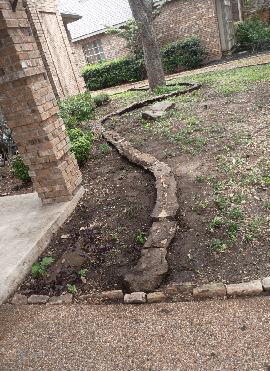 A garden area with a curved path and sparse vegetation, seeking ground cover ideas.