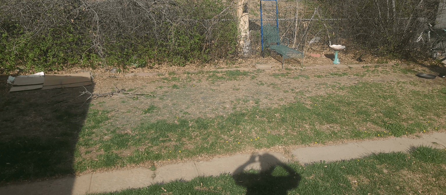 A yard with a green bench, suggesting a fountain and creek design.