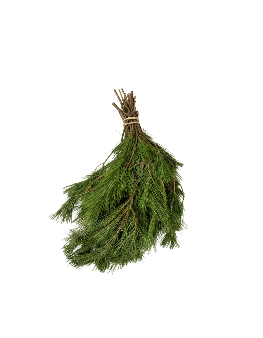 Holiday Bough Bundles (Holiday Bough Bundles) - Evergreen Trees