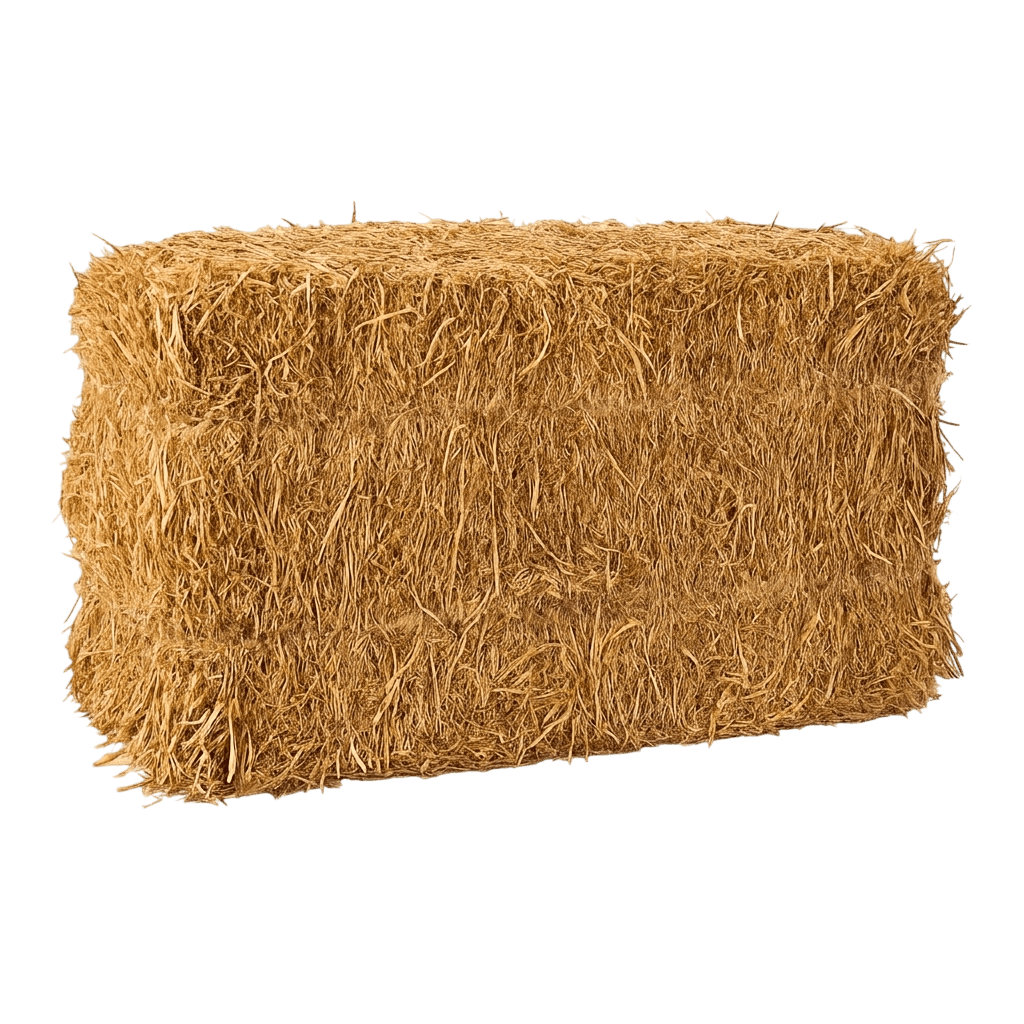 Straw - Bale (Straw - Bale) - Grasses