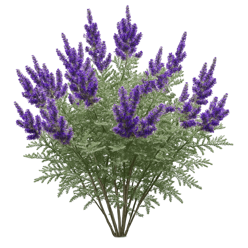 Leadplant (Amorpha Canescens) - Ground Layers