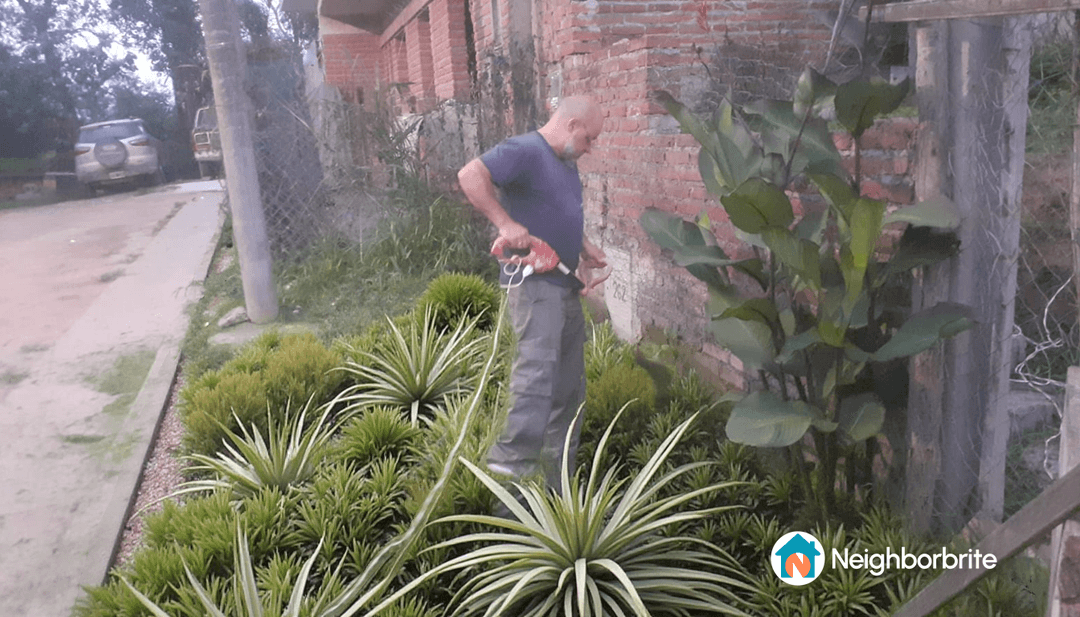 A person trimming plants in a modern garden setting.