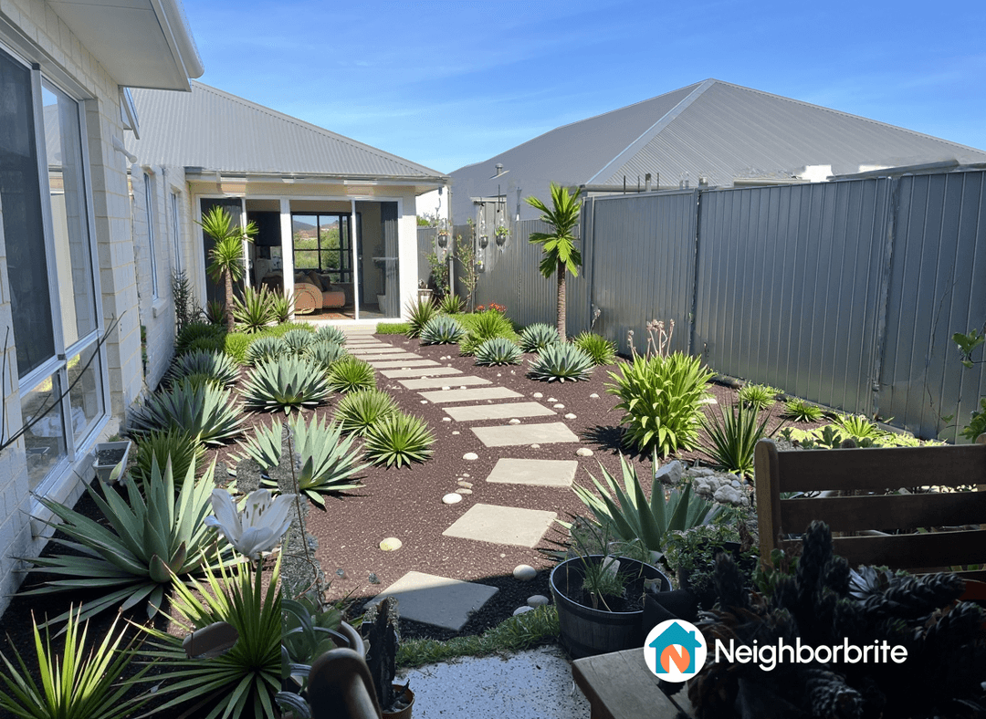 A landscaped yard featuring various agave plants, a stone pathway, and a sunny sky.