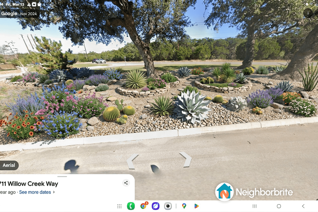 A vibrant landscape featuring various plants and stones.