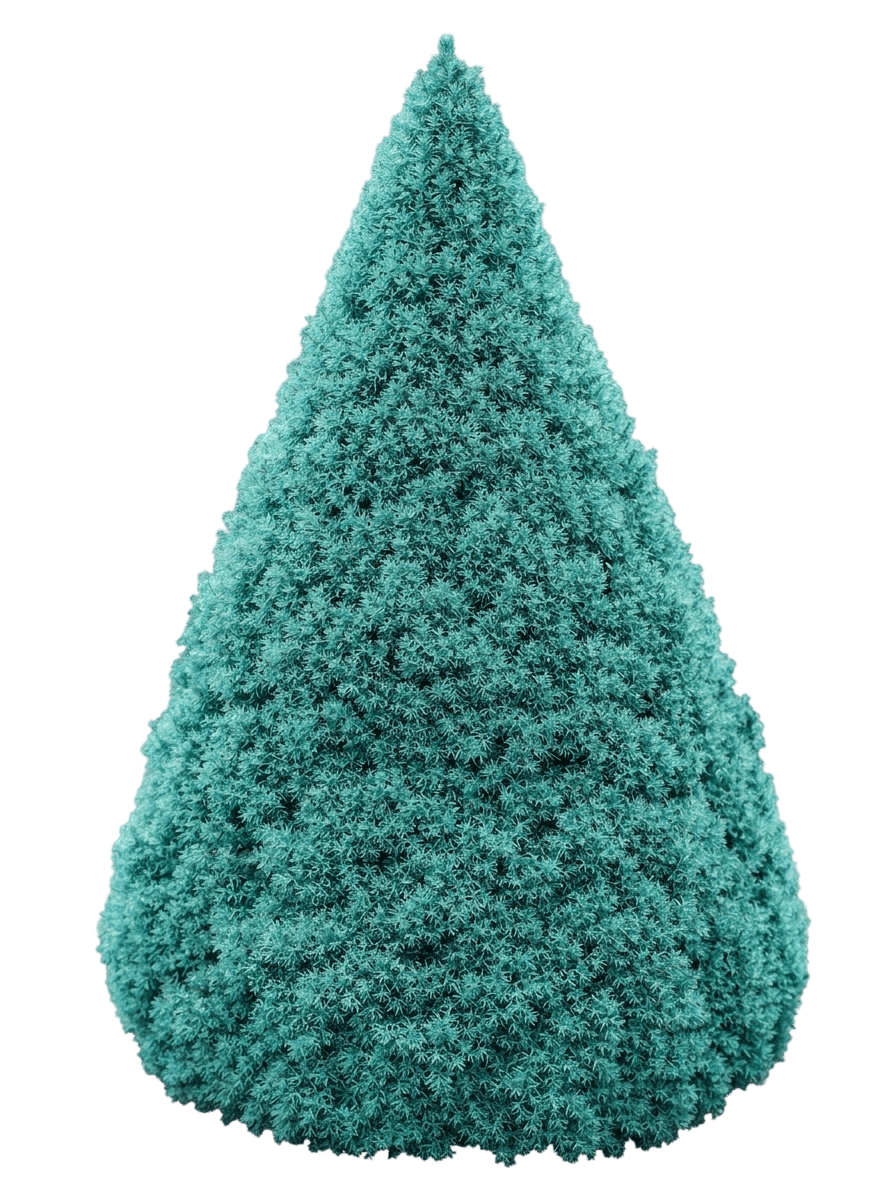 Sanders Blue Alberta Spruce (Picea Glauca 'Sanders Blue') - Evergreen Trees
