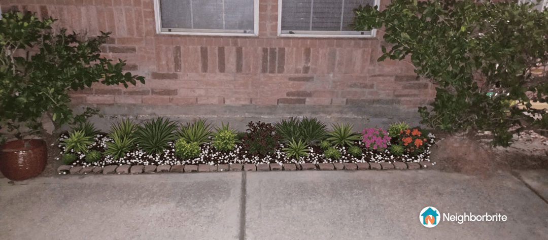 A garden bed with various plants, seeking identification and climate advice.