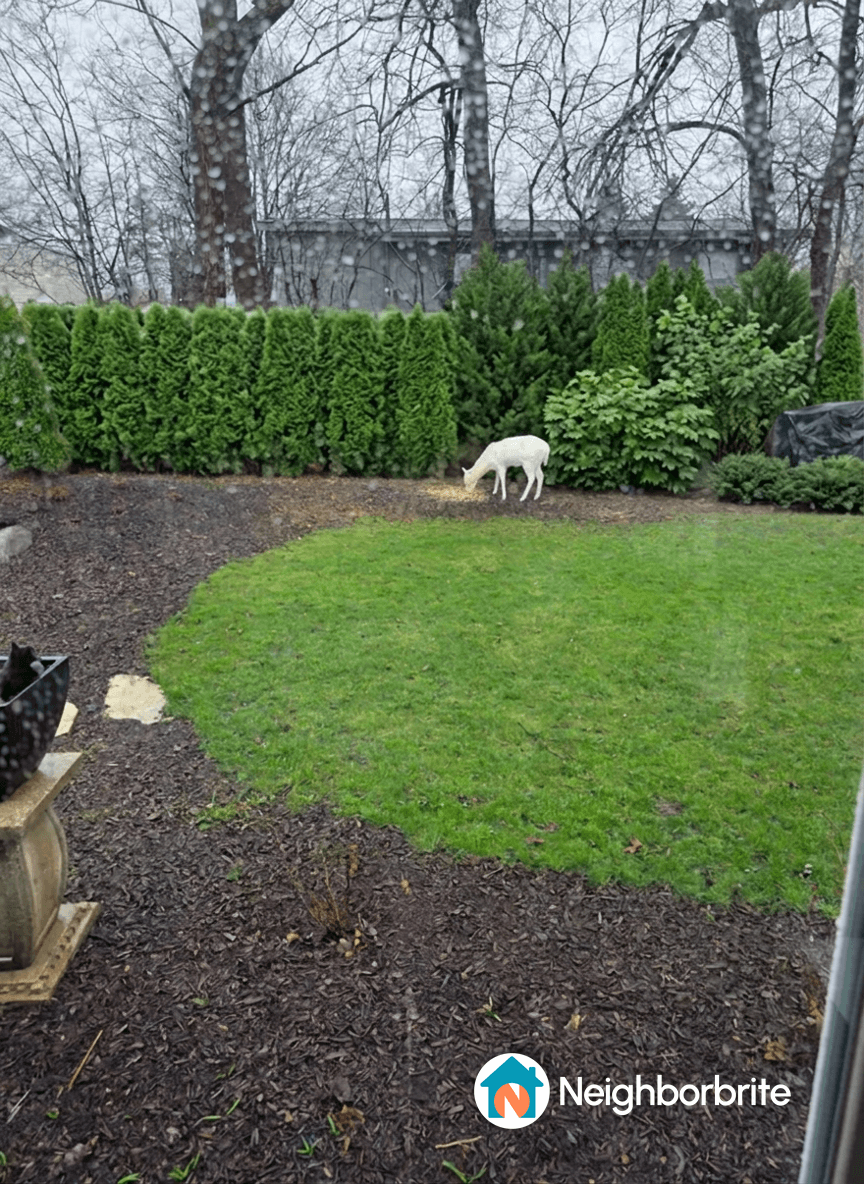Shared landscape design idea 1