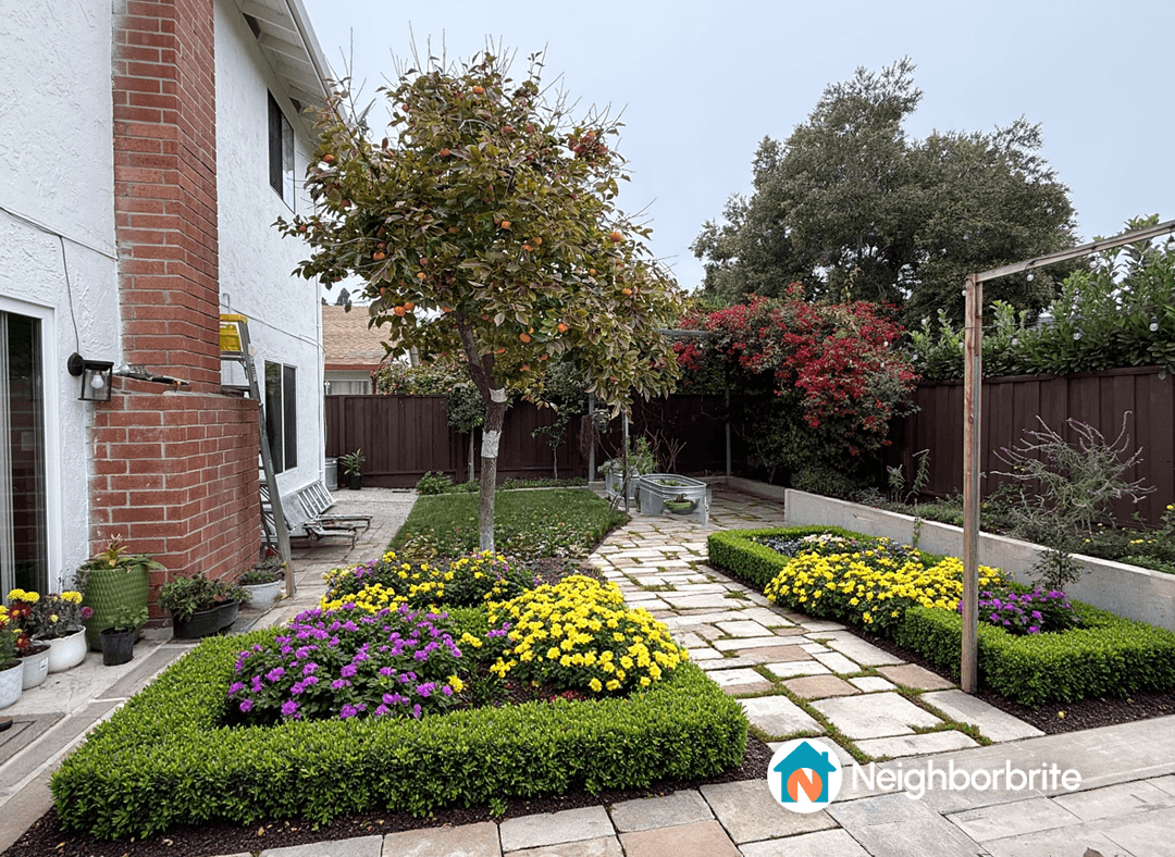 A backyard with a persimmon tree and colorful flower beds.