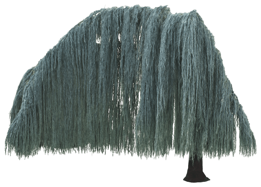 Weeping Lebanon Cedar 'Glauca Pendula' (Cedrus Libani 'Glauca Pendula') - Evergreen Trees